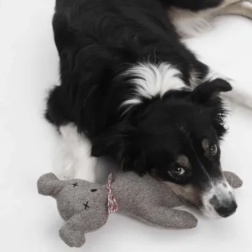 Peluche pour Chien Ours "Orsu" - Doudou Doux & Design - Dogs in the City