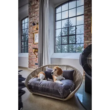 Lit design LABONI Oxford stone avec coussin orthopédique