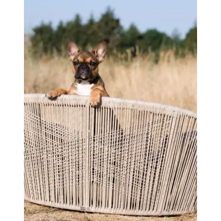 Panier pour chien Vogue design Oxford grey - LABONI