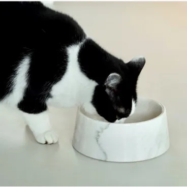 accessoire luxe pour animal de compagnie - gamelle pierre naturelle