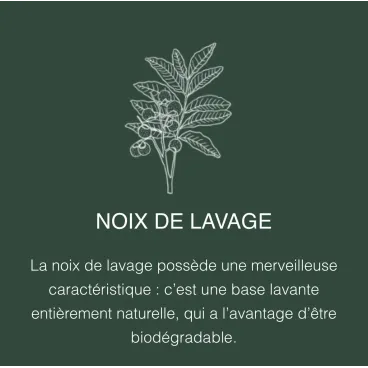 Noix de lavage – base lavante végétale biodégradable du shampoing Oslo Nut’z