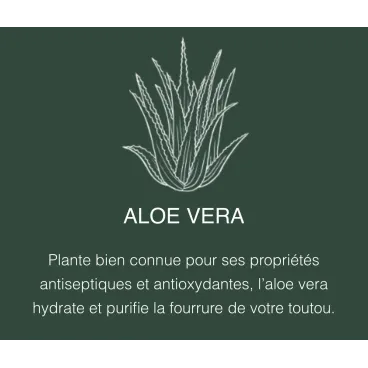 Aloe Vera – hydratation et apaisement naturel pour le pelage du chien