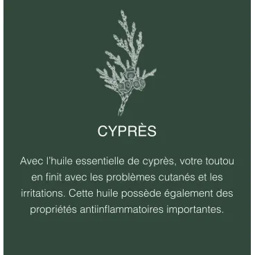 Huile essentielle de cyprès – propriétés anti-inflammatoires du shampoing Oslo