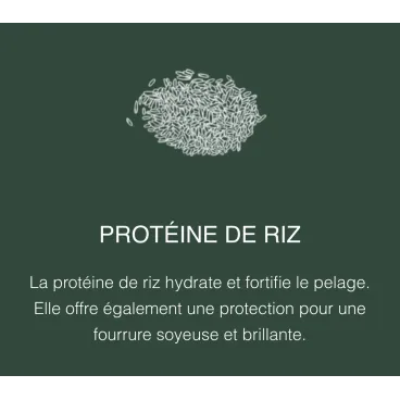 Protéine de riz – fortifie le poil et apporte brillance à la fourrure du chien