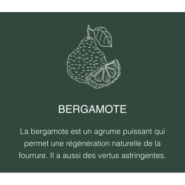 Bergamote – action purifiante et rafraîchissante du shampoing Oslo Nut’z