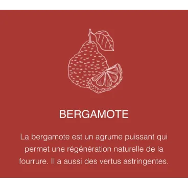 Bergamote – régénération naturelle de la fourrure
