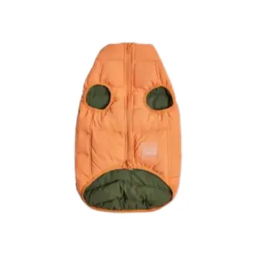 Vue dos – style sans manches (orange)