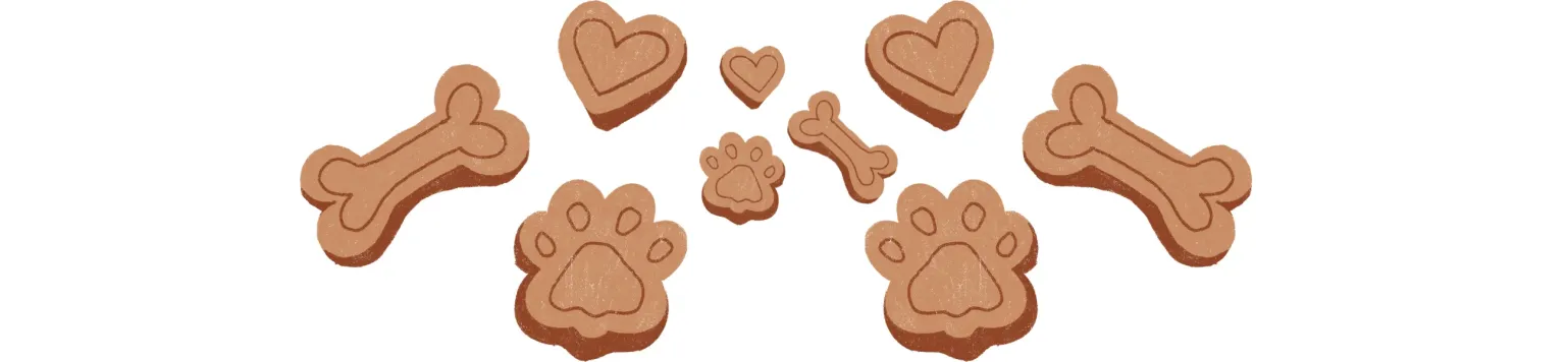 Friandises et épicerie fine pour chiens – Goûts sains & naturels