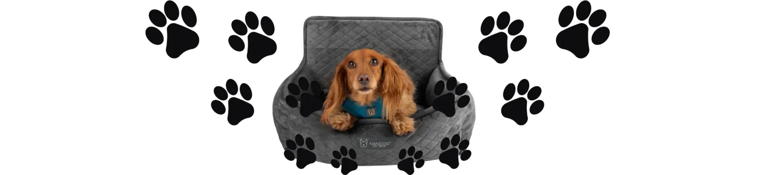 Siège auto pour chien - Sécurité, confort & design élégant en voiture